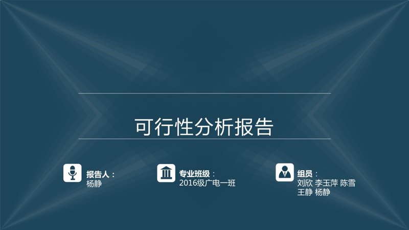 可行性报告